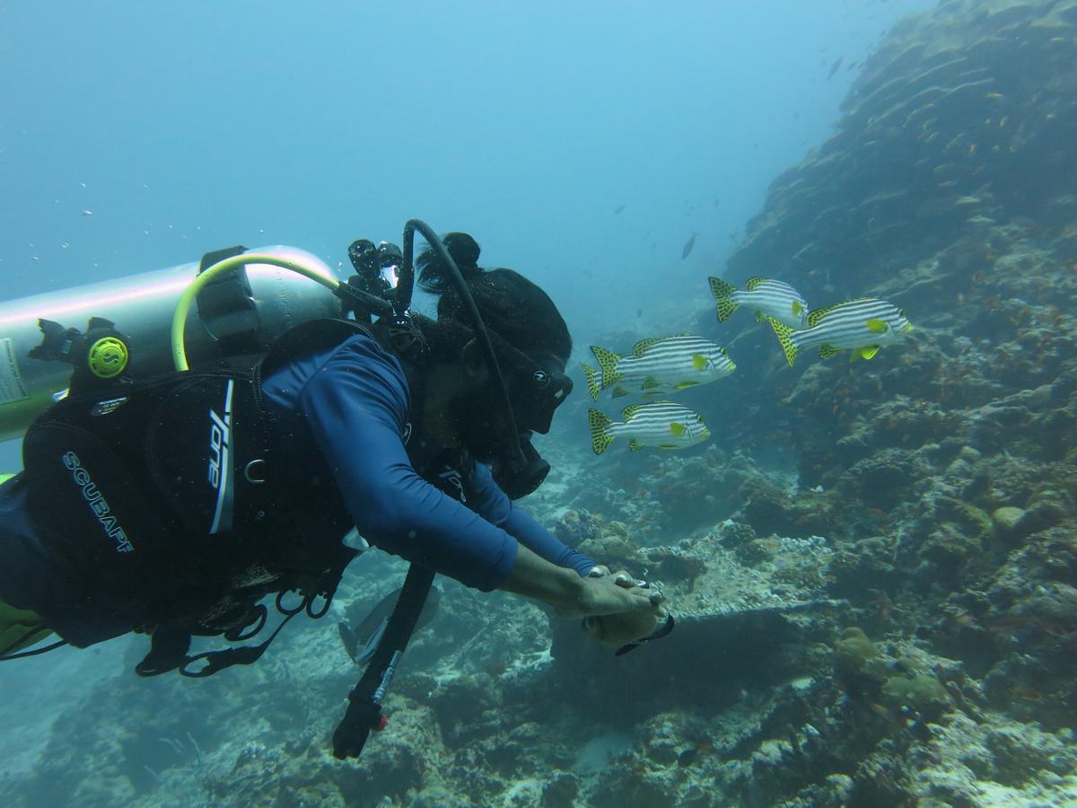 Rasdhoo Dive Lodge Εξωτερικό φωτογραφία