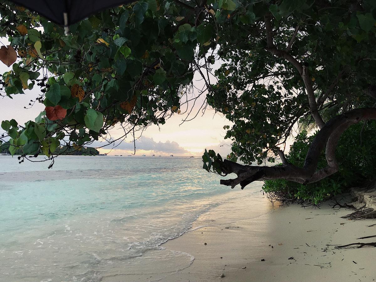 Rasdhoo Dive Lodge Εξωτερικό φωτογραφία