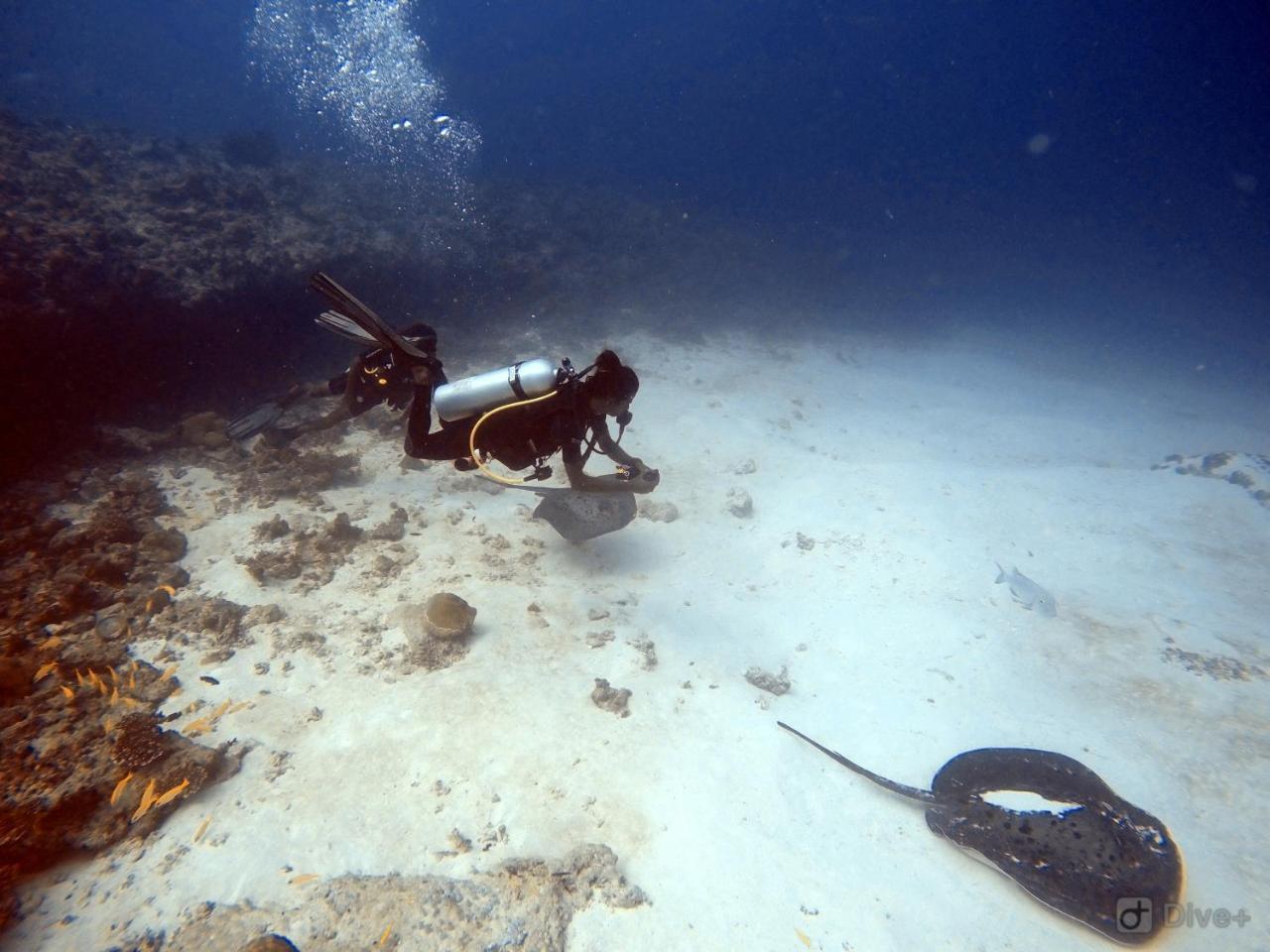 Rasdhoo Dive Lodge Εξωτερικό φωτογραφία